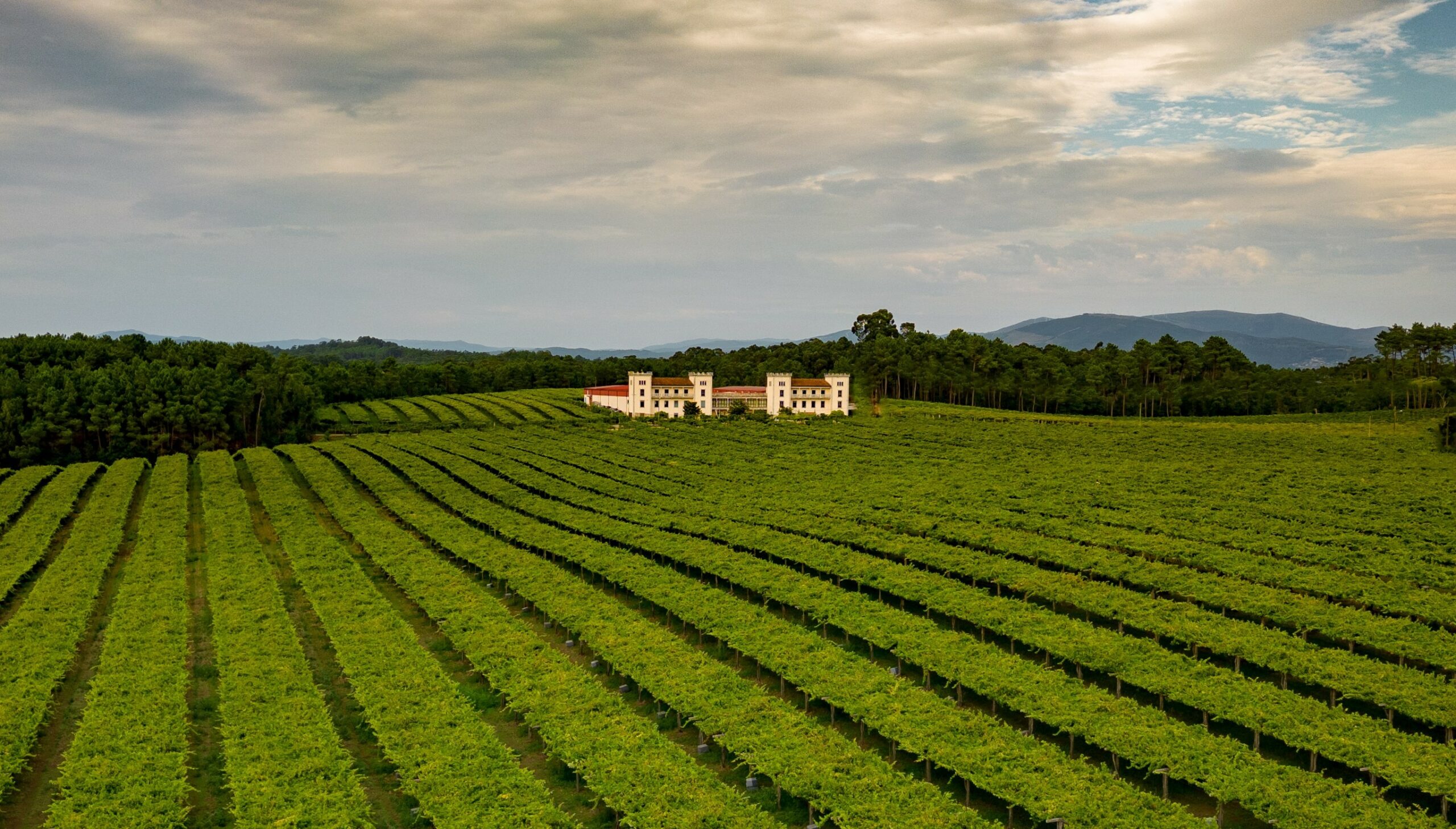 Visita_La_Val-BODEGA_LA_VAL_